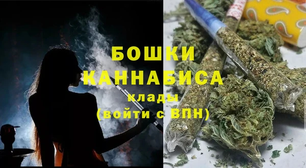 ГАЛЛЮЦИНОГЕННЫЕ ГРИБЫ Абаза